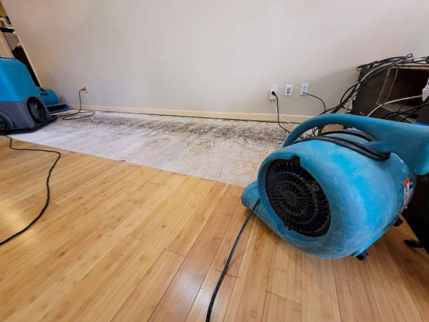 Professional Ceiling Water Damage Repair technician working in Lynndyl, UT